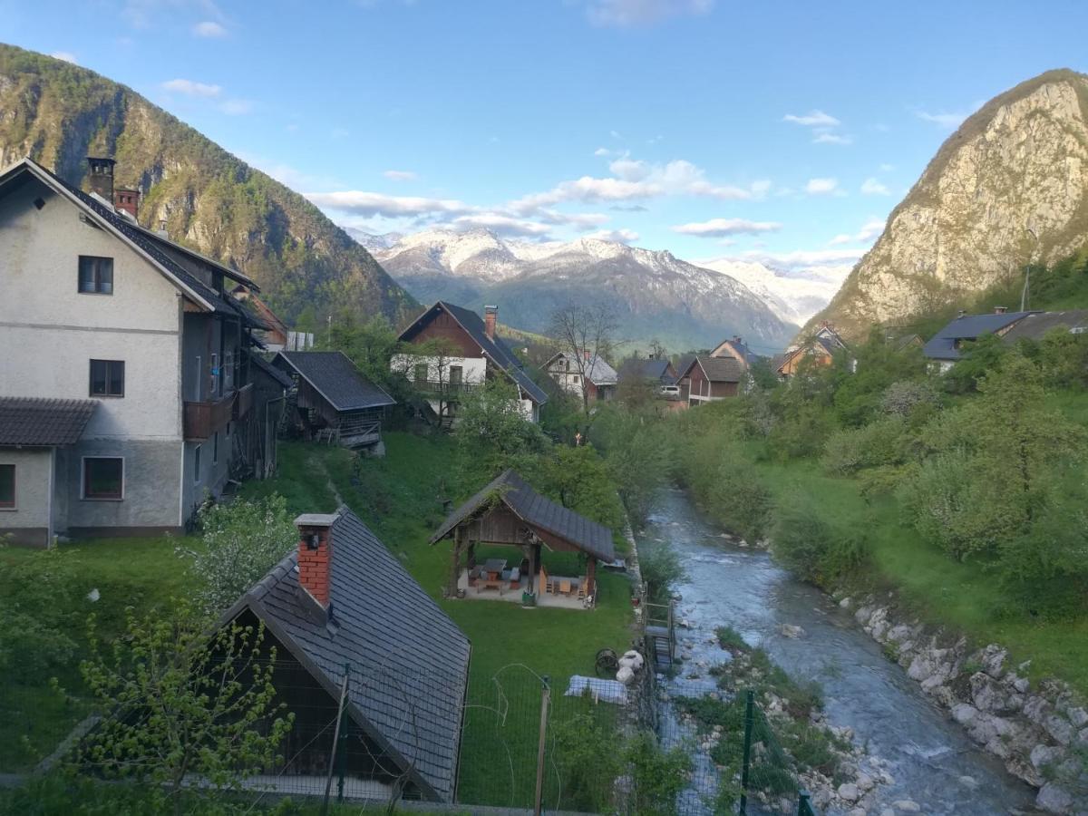Apartma Pr Pekovcu Bohinj ภายนอก รูปภาพ